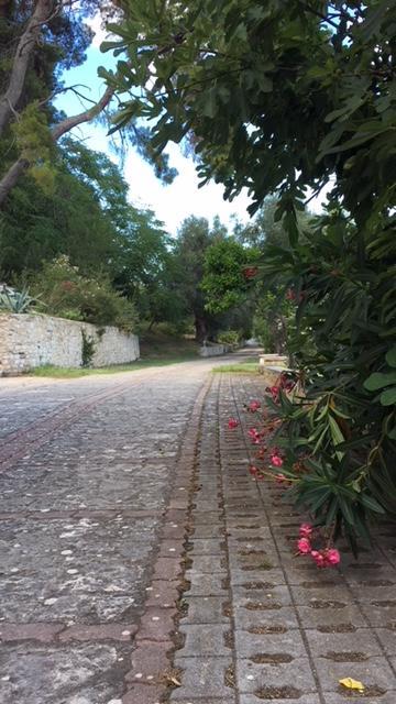 Tenuta Valle Della Corte Βιέστε Εξωτερικό φωτογραφία
