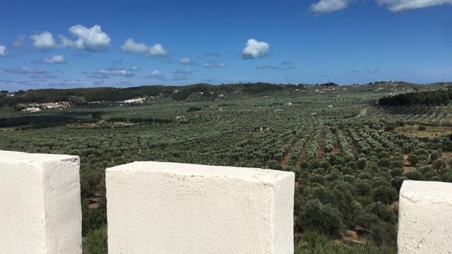 Tenuta Valle Della Corte Βιέστε Εξωτερικό φωτογραφία